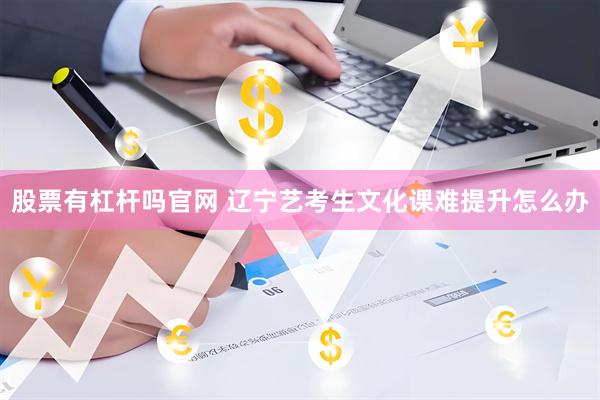 股票有杠杆吗官网 辽宁艺考生文化课难提升怎么办
